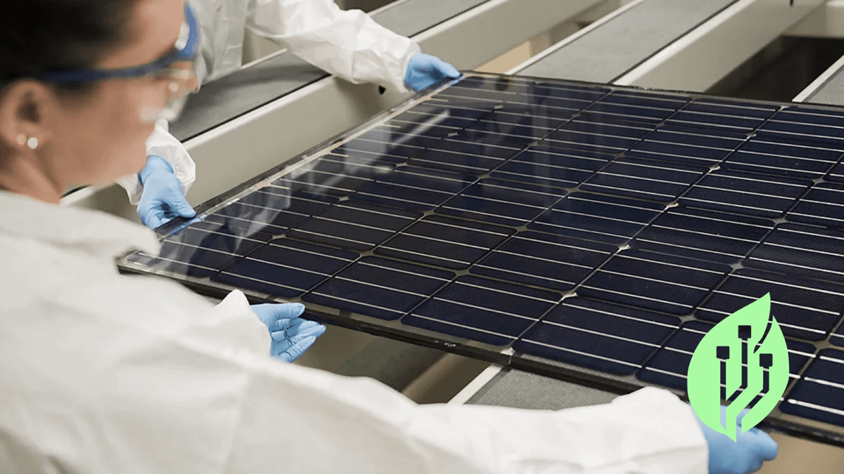 perovskite solar cells