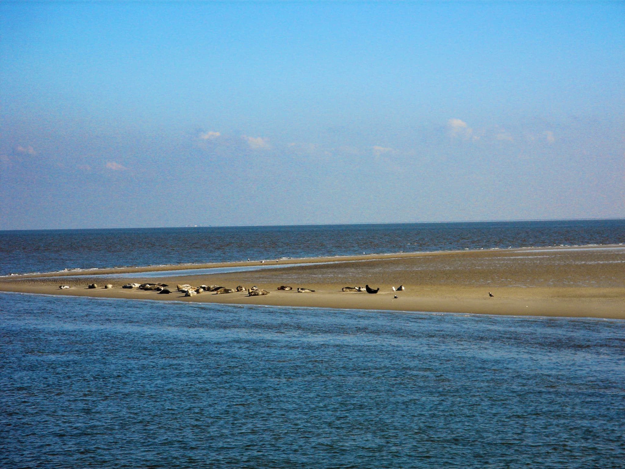 The Waddenzee